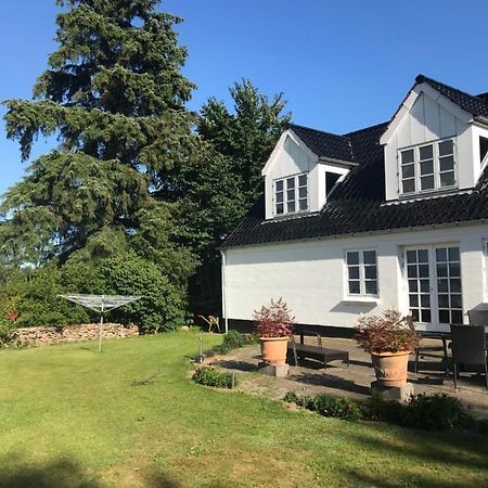 Pedersholt Bed & Breakfast Dybvad Dış mekan fotoğraf