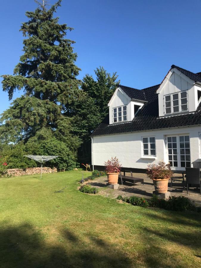 Pedersholt Bed & Breakfast Dybvad Dış mekan fotoğraf